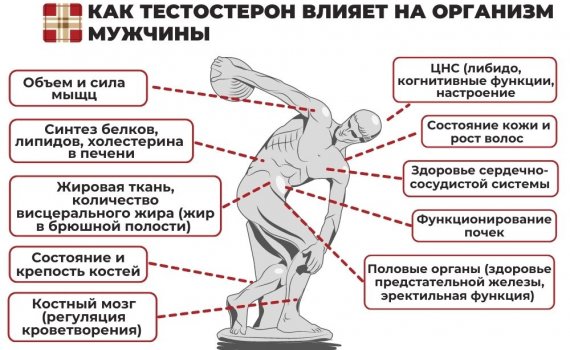 Чем опасен низкий уровень тестостерона у мужчины?