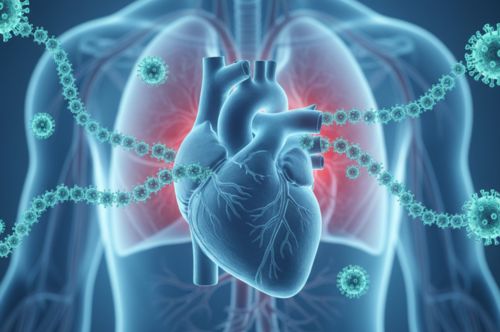 Влияние COVID-19 на сердечно-сосудистую систему человека
