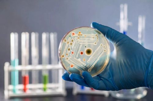 Антибиотикорезистентность: гонка на выживание